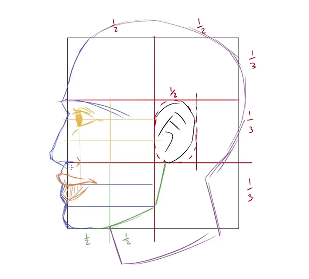 Cabeza de perfil cara  Rostos de perfil, Desenho de rosto
