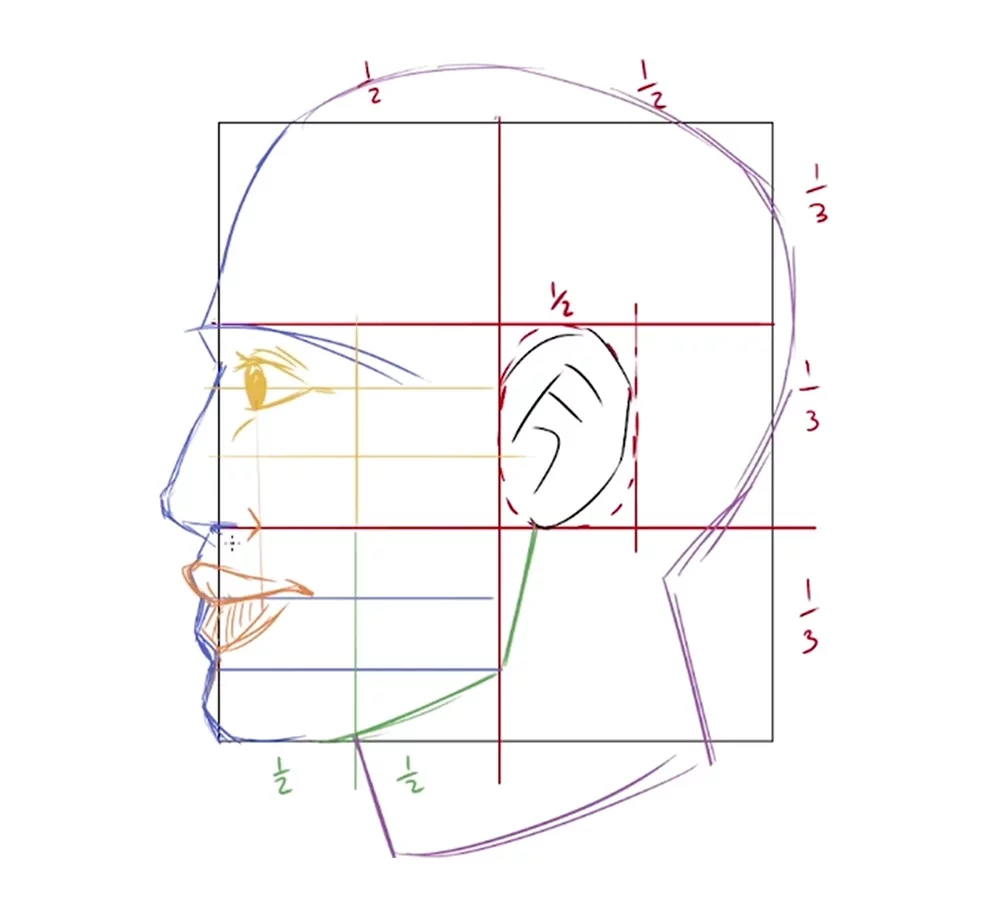 How to Draw Faces from the Side - YouTube