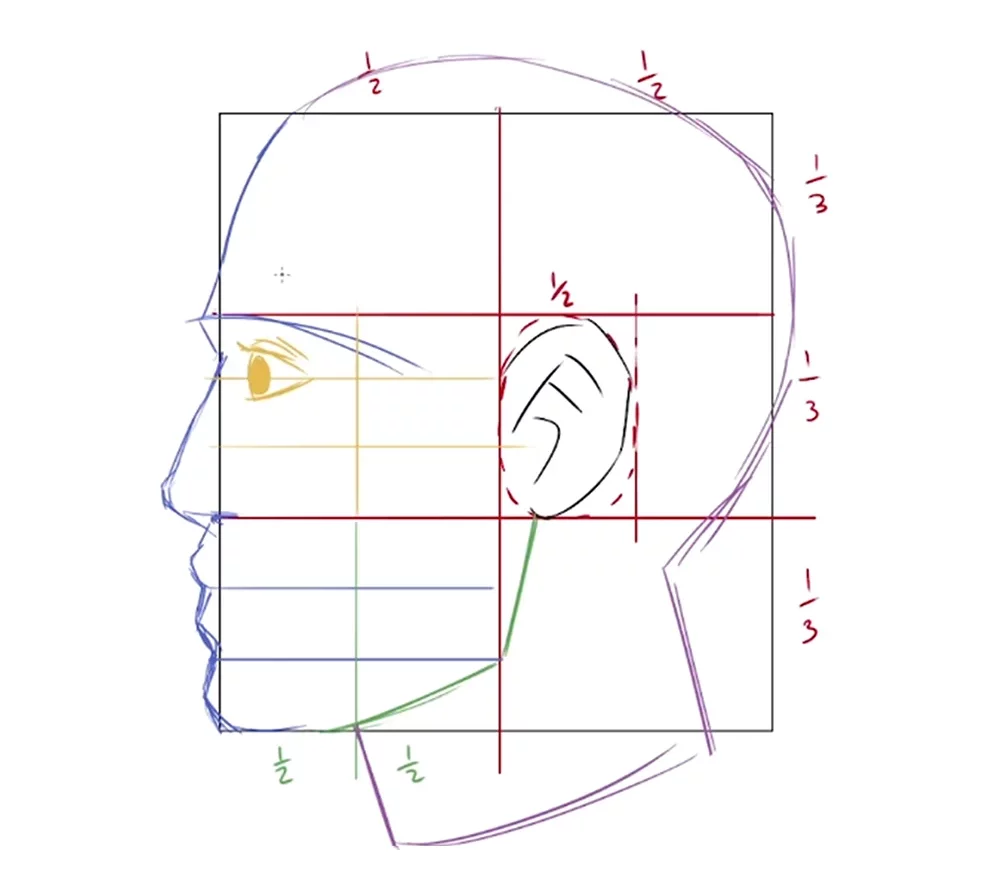 Método Loomis - Guia para principiantes sobre como desenhar cabeças