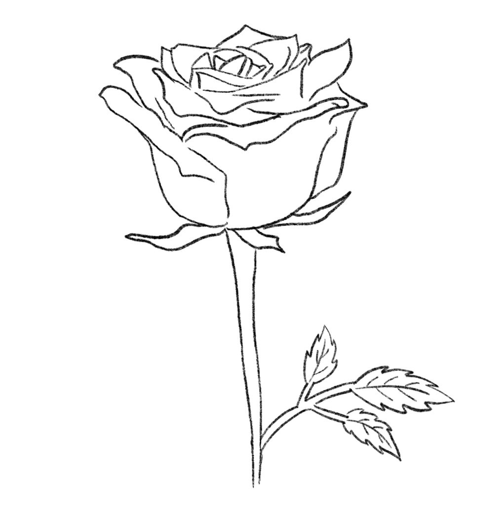 How to Draw a Rose - Easy Drawing Art-saigonsouth.com.vn