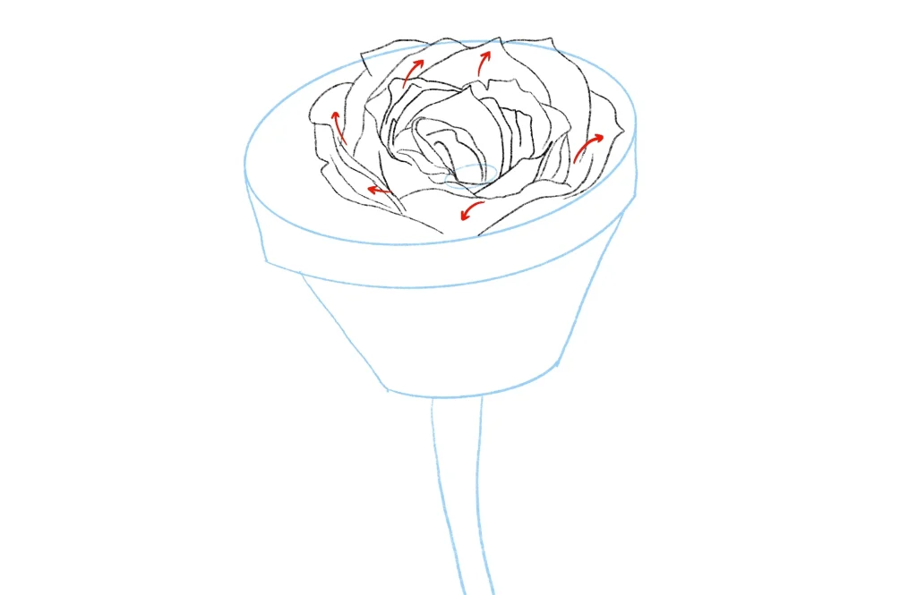 How to Draw a Rose for Beginners
