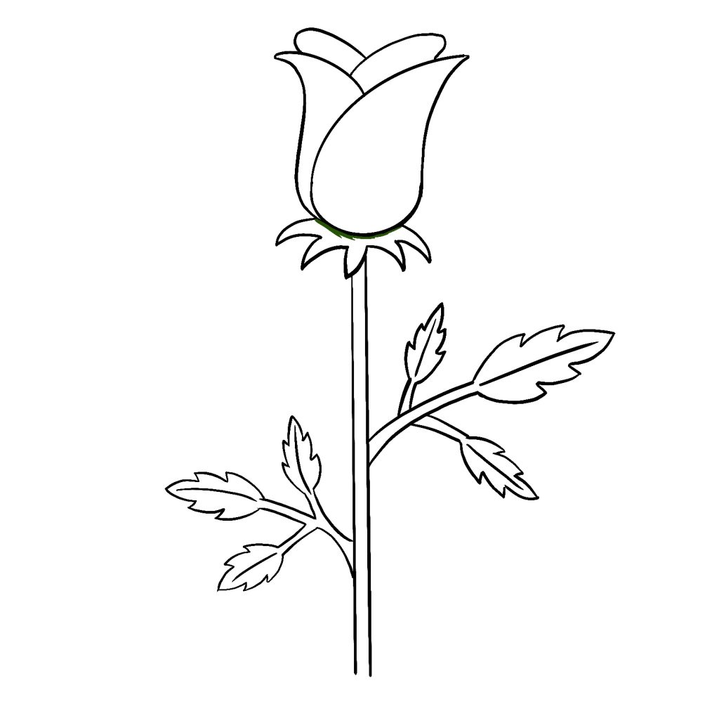 Add The Stem And Leaves