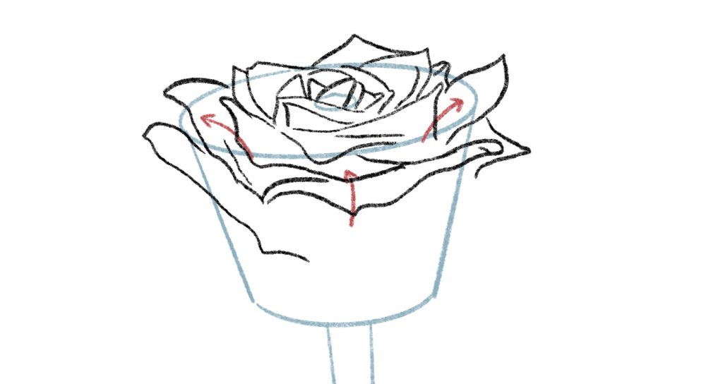 Complete the Rose by Adding Larger Petals