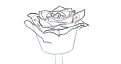 Come disegnare una rosa - Impara passo per passo a disegnare tre rose