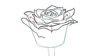 Come disegnare una rosa - Impara passo per passo a disegnare tre rose