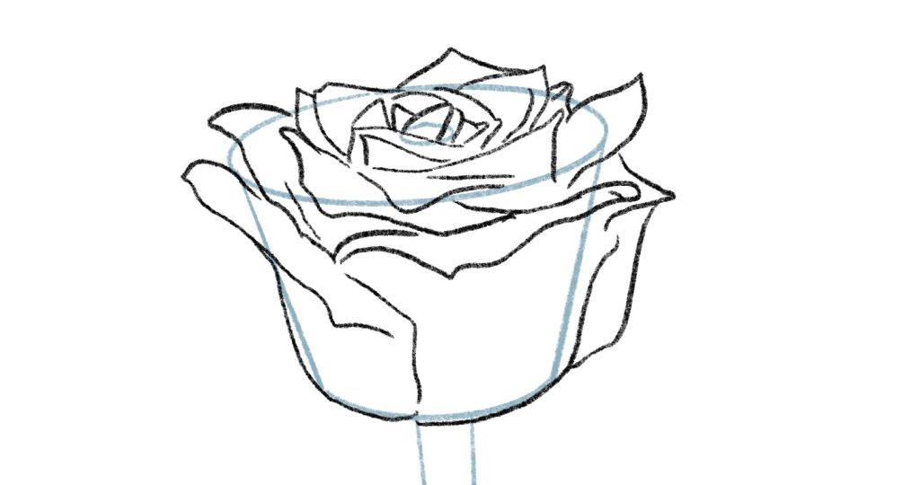 We are done drawing the rose petals