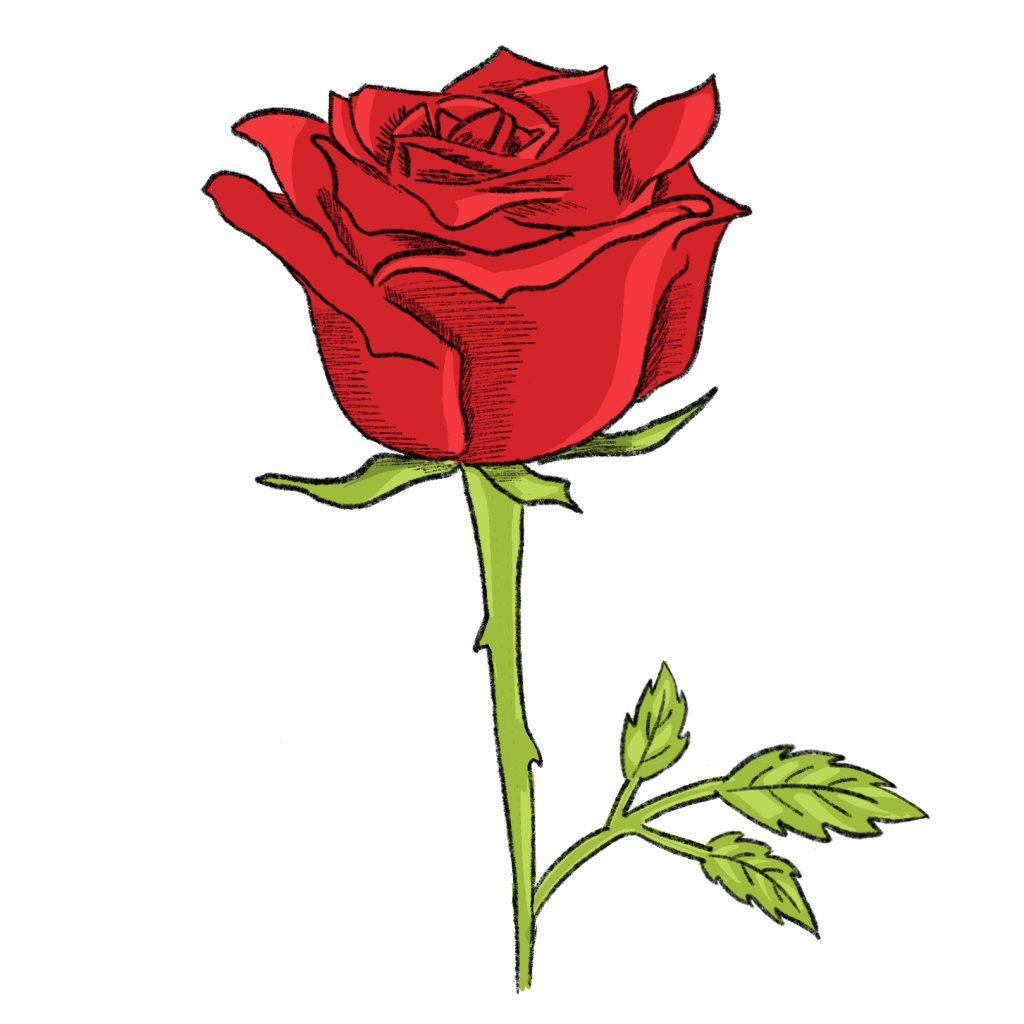 Finish The Rose By Adding Colors Add Midtones