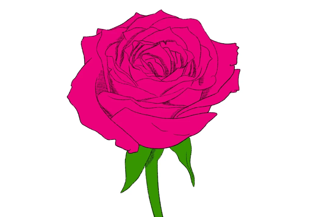 Comment dessiner une rose - 3 dessins de roses étape par étape