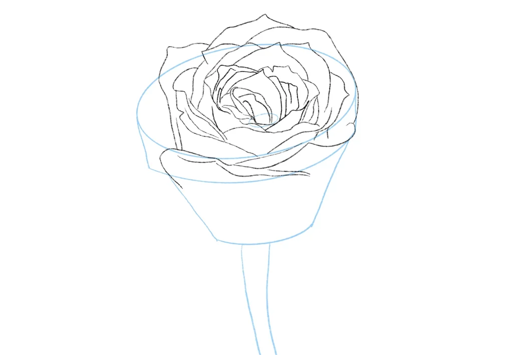 Rose Sketch Drawing Picture - Drawing Skill