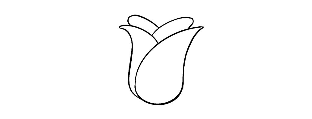 How To Draw A Simple Rose Add The Final Petal