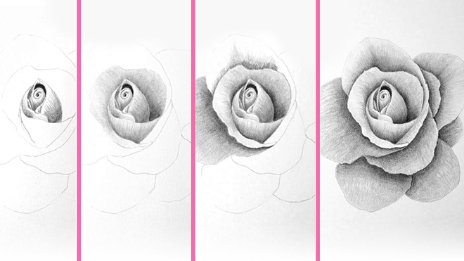 Disegna una rosa realistica a matita Disegna una rosa realistica a matita