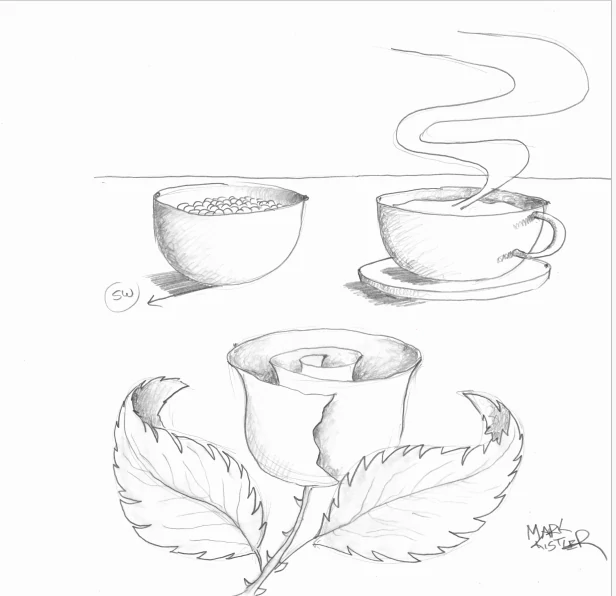 How to Draw a Coffee Cup Step By Step – For Kids & Beginners