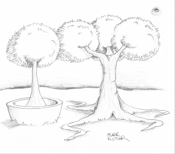 illustration trees