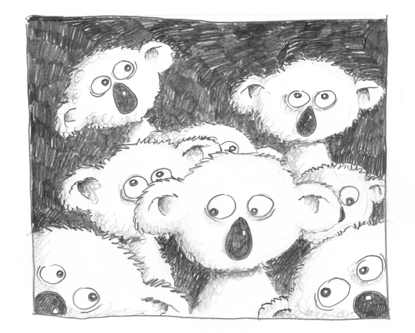 Koalas