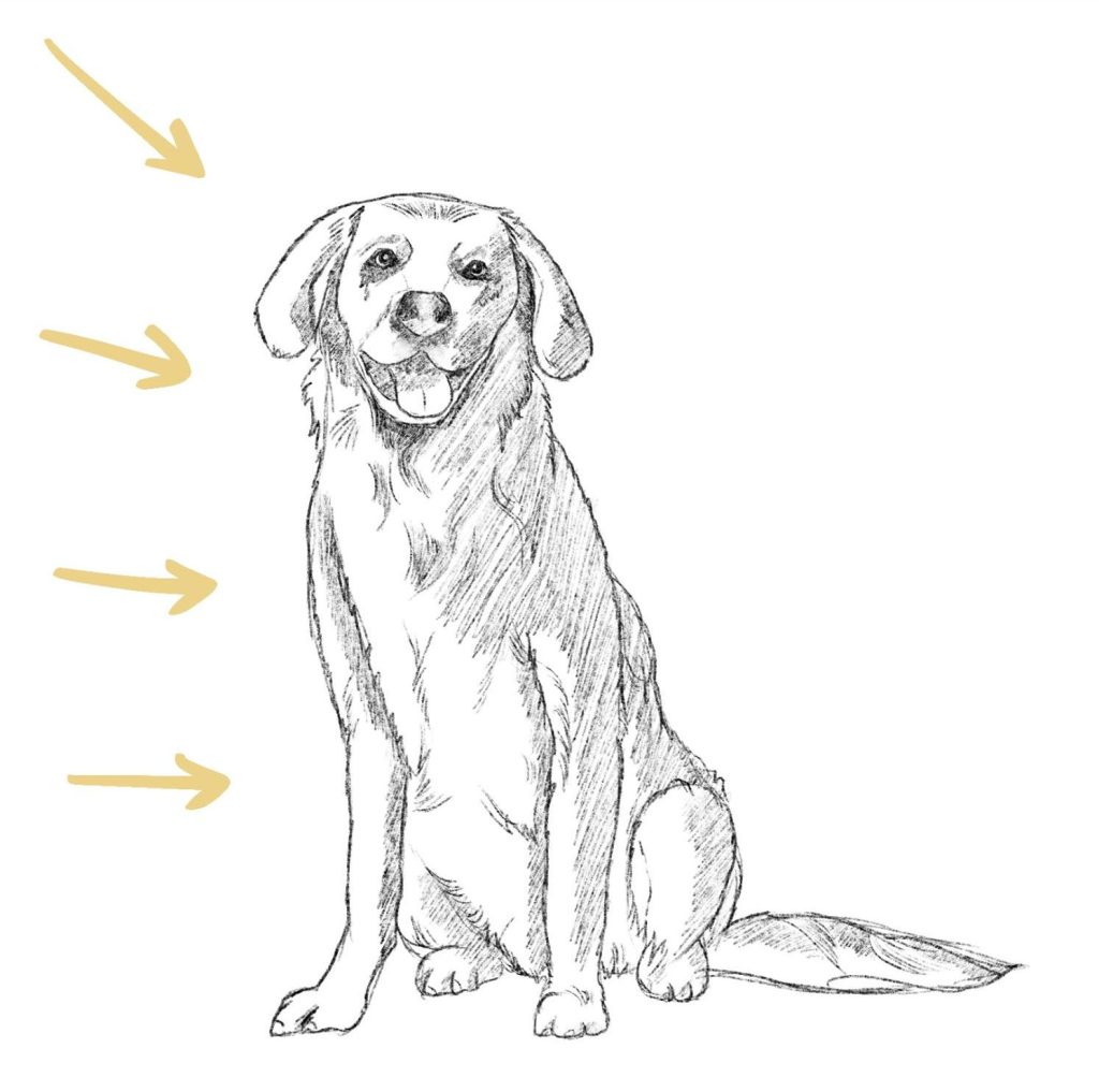 4 Ways to Draw a Puppy - wikiHow
