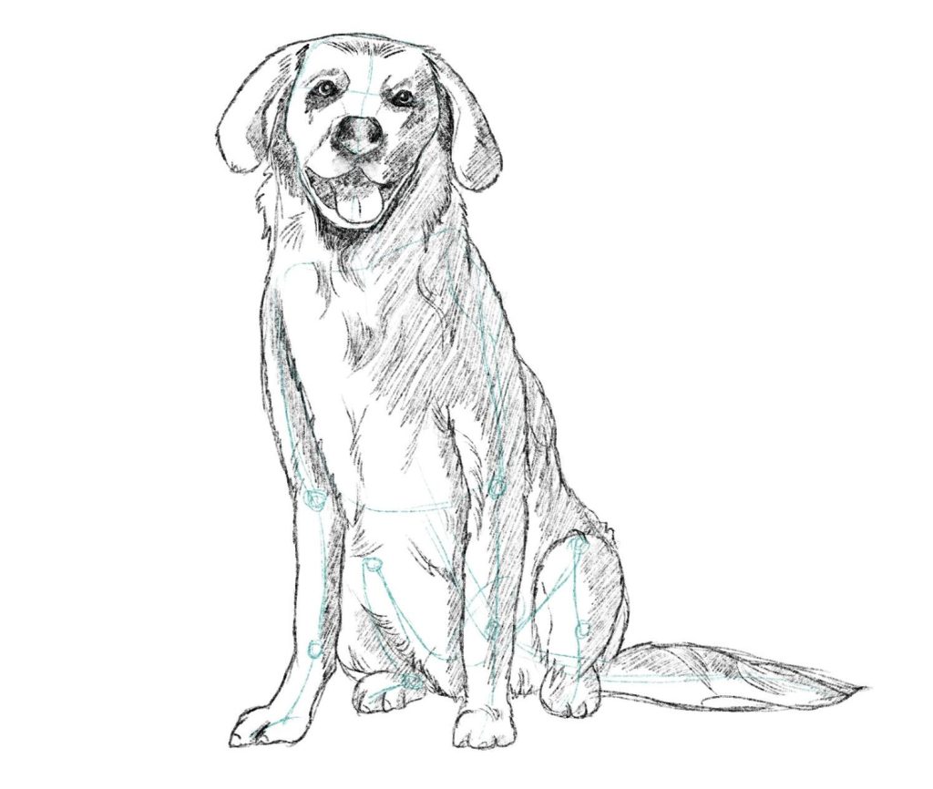 Add More Details To The Fur