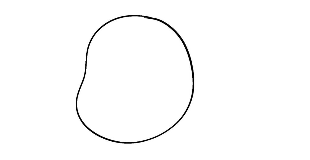 Draw A Rounded Bean Like Shape For The Head