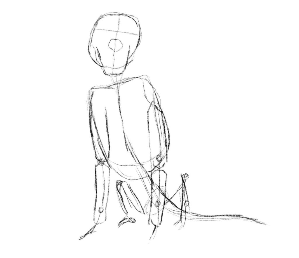 Draw The Basic Structure Of The Dog