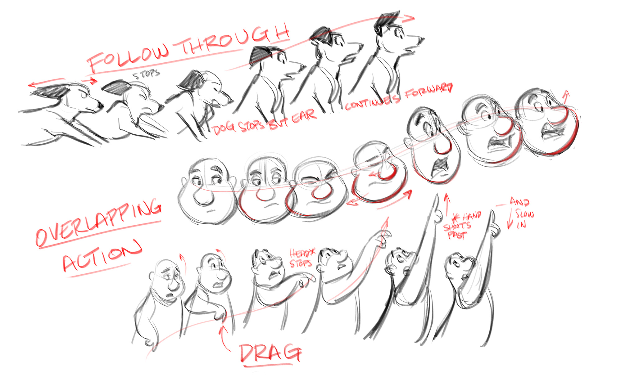  Step by Step Animation In Procreate Dreams Explained