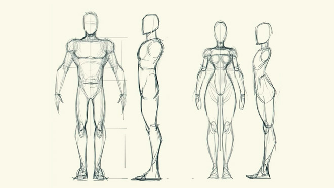 Leaning Human Anatomy Is Essentials For Students Of Digital Art