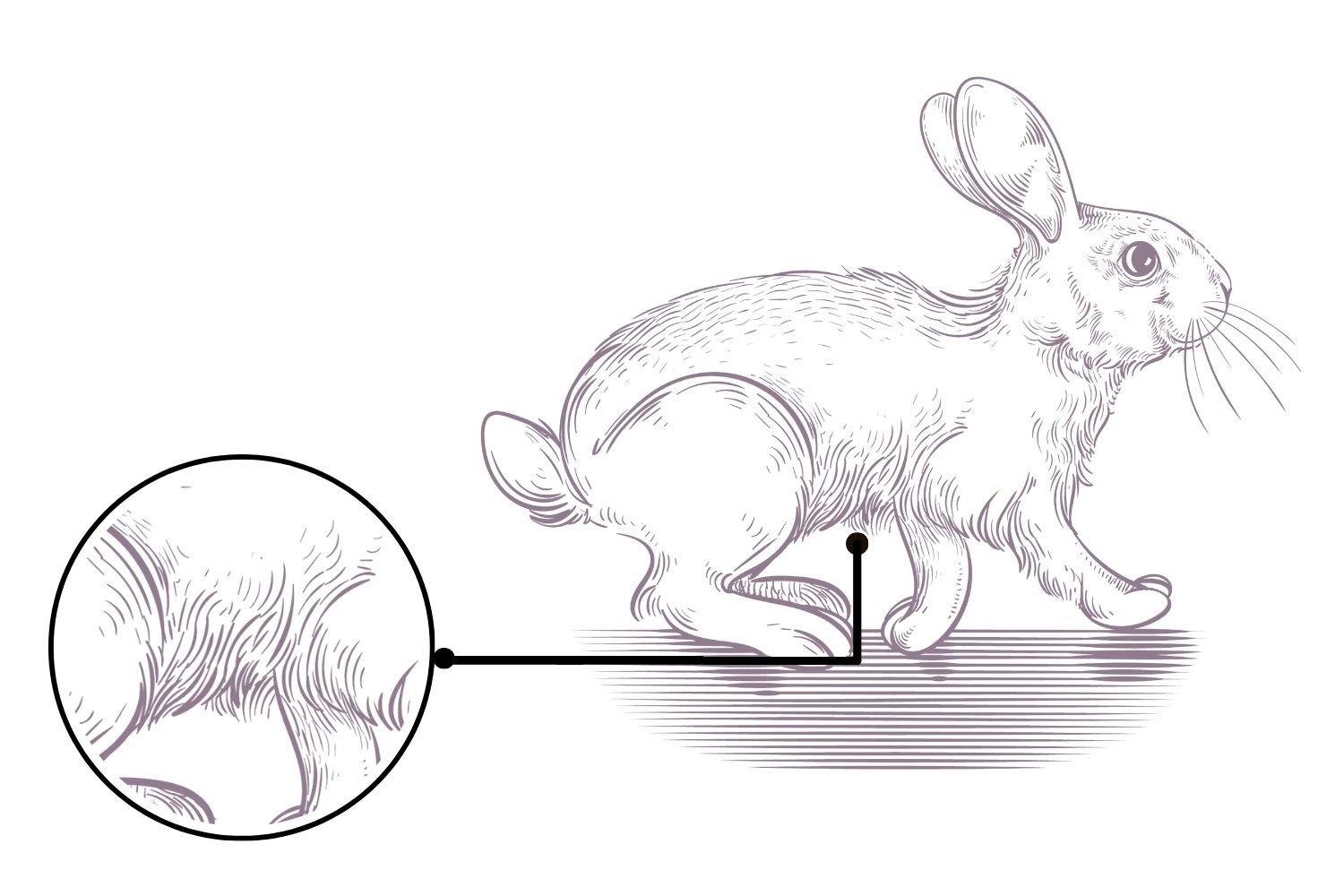 7 Pencil Shading Techniques Every Artist Must Know