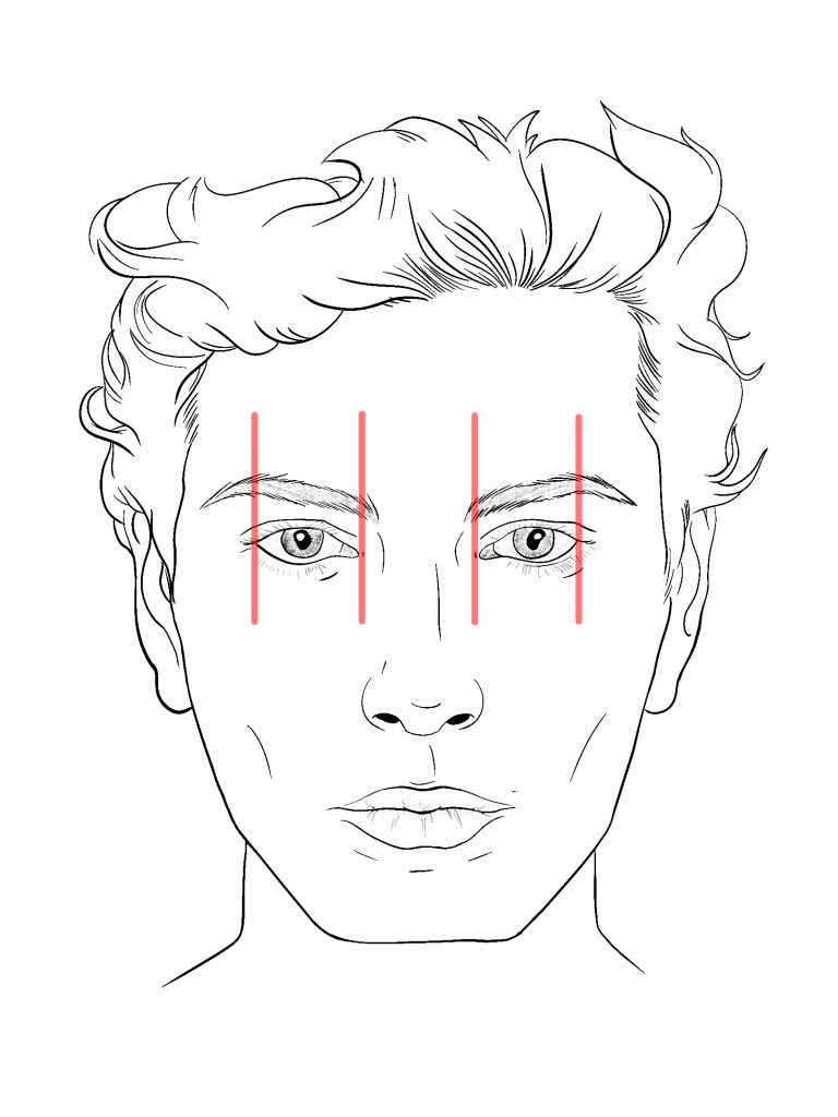 Four red lines on face indicate eye spacing is about one eye width apart.