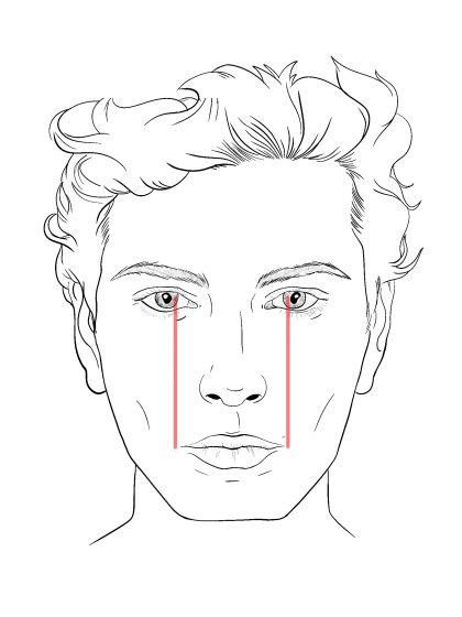 Seven Face Proportions For Drawing A Perfect Face