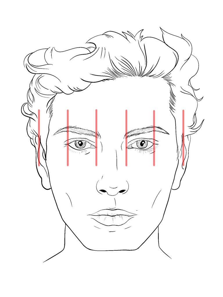 Red lines on face indicate that the head is about five eyes eyes wide.