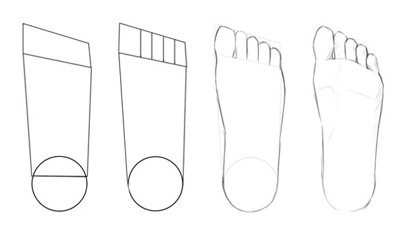 Four step to sketch the sole of the feet