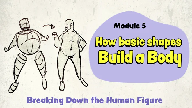 Draw a body using basic shapes Draw a body using basic shapes