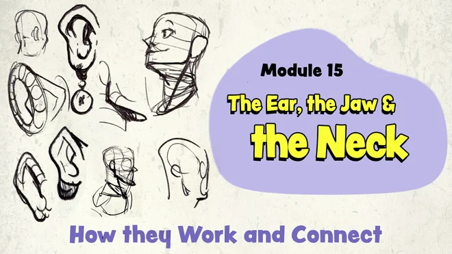 Easy way to draw the ear, jaw and neck for beginners Easy way to draw the ear, jaw and neck for beginners