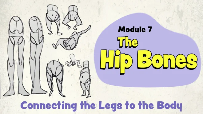How to draw the hips and pelvis How to draw the hips and pelvis