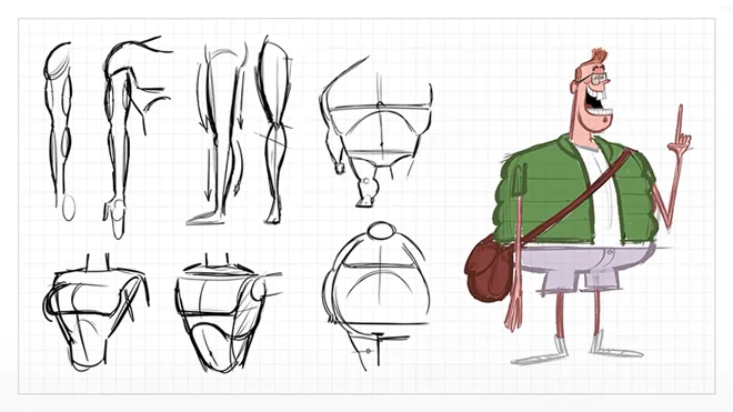 Simple anatomy for beginners