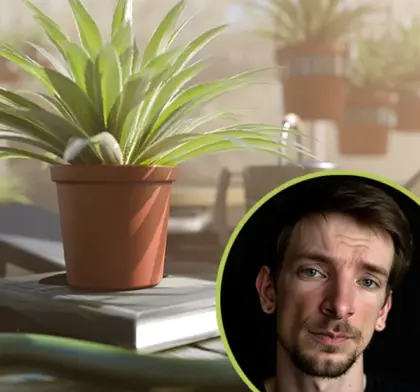 introduction to 3d art in blender