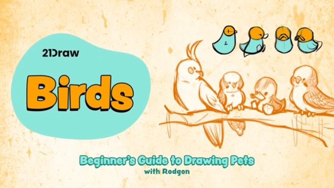 how to draw birds for beginner artists